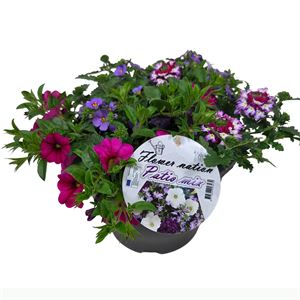 Bild von TP26 Mix 10